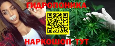 спиды Аргун
