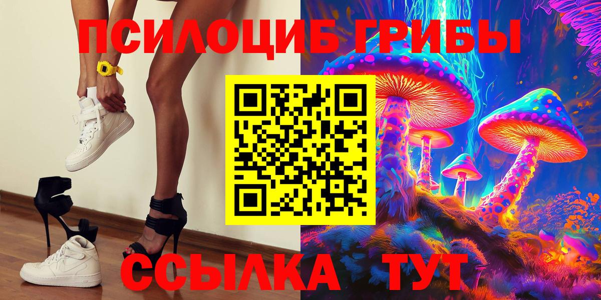 Галлюциногенные грибы Psilocybe Ачхой-Мартан