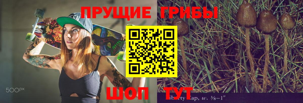 Галлюциногенные грибы MAGIC MUSHROOMS  Ачхой-Мартан 