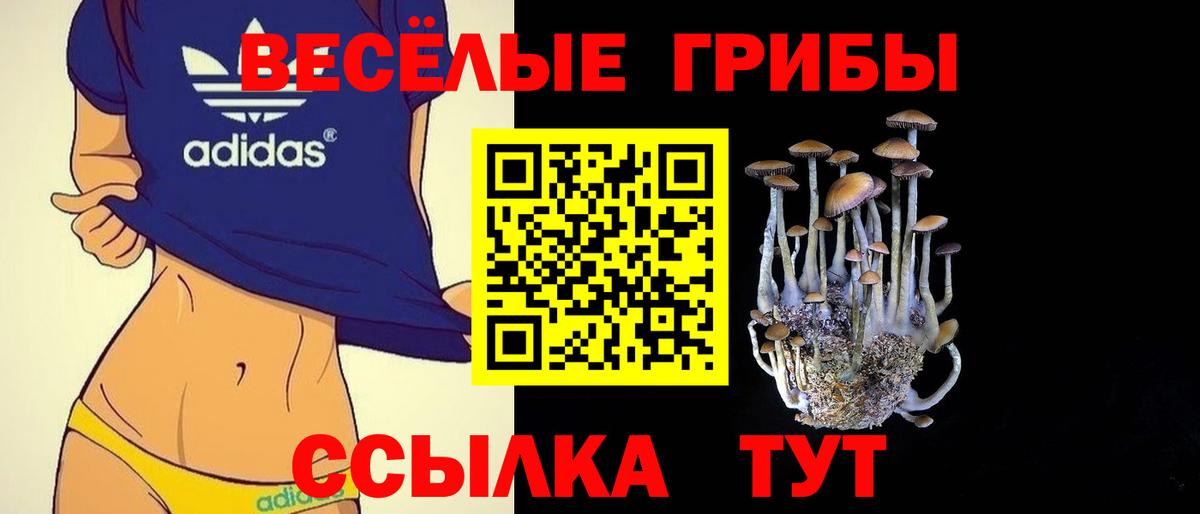 Галлюциногенные грибы мухоморы  Псилоцибиновые грибы мухоморы  Вход с VPN  Ачхой-Мартан 