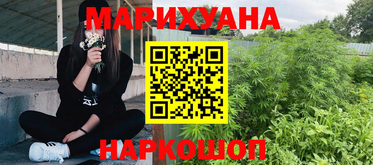 Марихуана гибрид Ачхой-Мартан